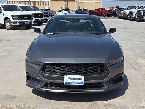 New 2026 Ford Mustang Coupe w/ Mustang Nite Pony Package RWD image 8