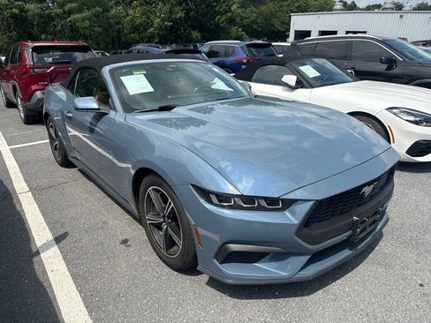 Used 2024 Ford Mustang Premium RWD image 1
