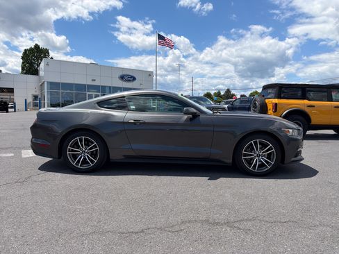 Used 2017 Ford Mustang Premium w/ Equipment Group 201A RWD image 2