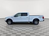 Used 2016 Ford F150 XLT w/ Equipment Group 302A Luxury image 6