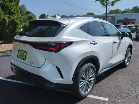 Used 2025 Lexus NX 350h AWD w/ Cold Area Package image 3