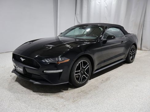 Used 2023 Ford Mustang Premium image 5
