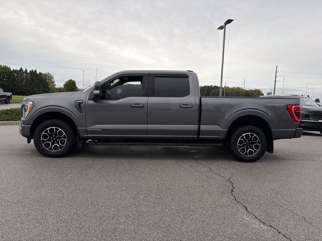 Used 2021 Ford F150 XLT w/ Equipment Group 302A High AWD/4WD image 4