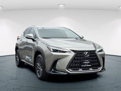 Certified 2023 Lexus NX 350 AWD