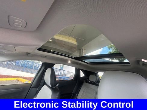 Certified 2024 Ford Escape SE w/ PHEV Premium Package image 12