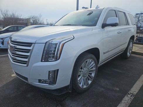 Used 2019 Cadillac Escalade Platinum image 7