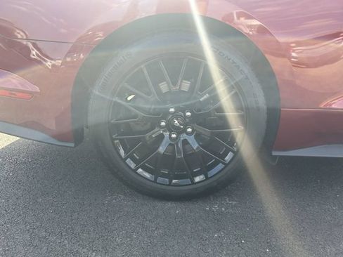 Used 2017 Ford Mustang GT Premium w/ GT Performance Package RWD image 10