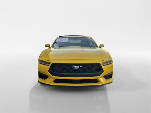Used 2024 Ford Mustang Premium image 8