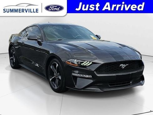 Used 2023 Ford Mustang Coupe w/ Equipment Group 101A image 1