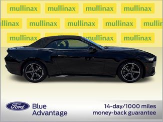 Used 2024 Ford Mustang Premium video 2