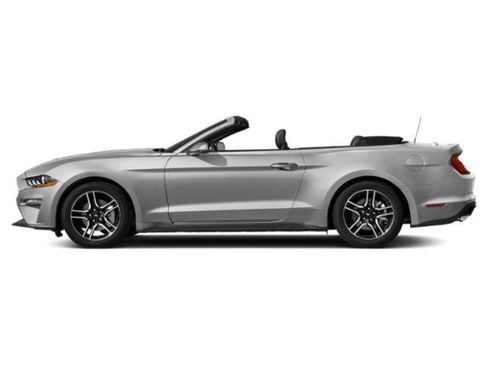 Used 2019 Ford Mustang Premium RWD image 3
