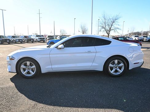 Used 2019 Ford Mustang Coupe image 8