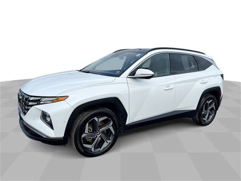 Used 2022 Hyundai Tucson Limited image 1
