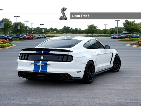 Used 2017 Ford Mustang Shelby GT350 w/ Electronics Package RWD image 5