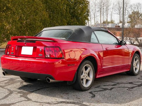 Used 1999 Ford Mustang Cobra RWD image 19
