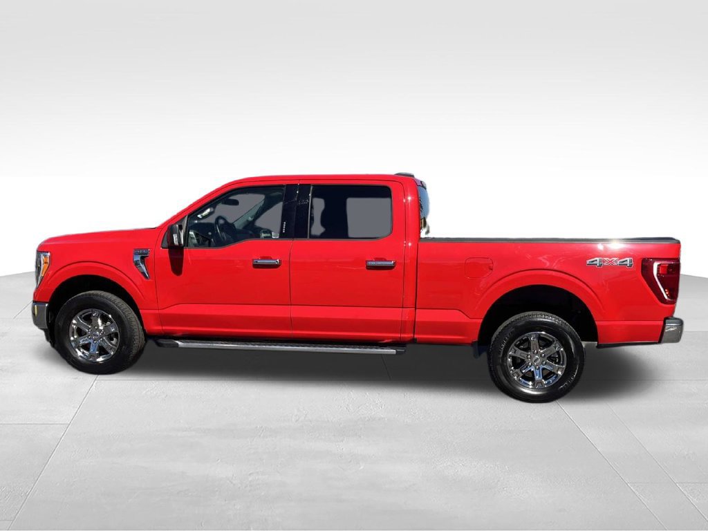 Used 2023 Ford F150 XLT w/ Equipment Group 302A High AWD/4WD image 8