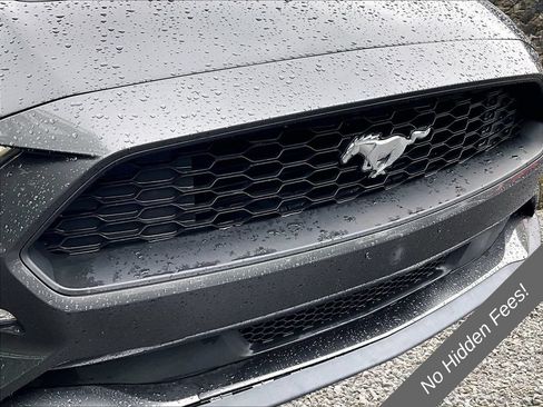 Used 2019 Ford Mustang Coupe w/ Equipment Group 101A RWD image 19