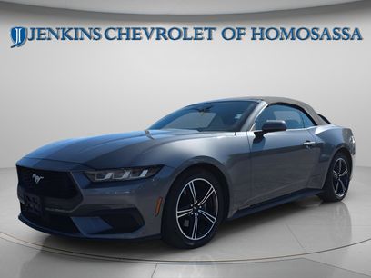 Used 2024 Ford Mustang Premium