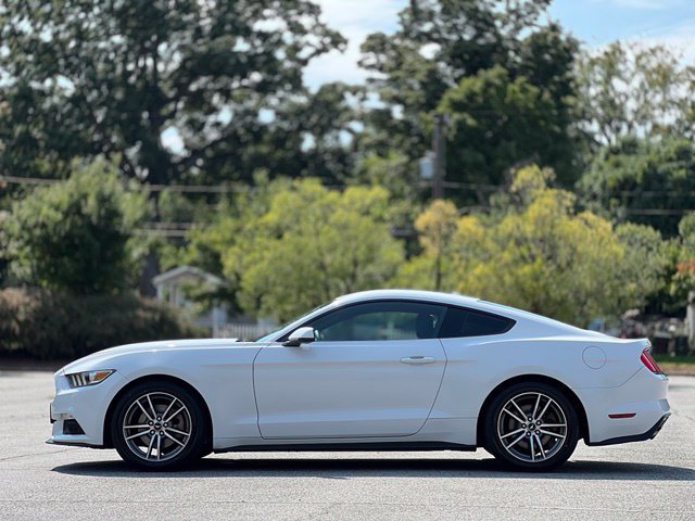 Used 2017 Ford Mustang Premium w/ Equipment Group 201A RWD image 8