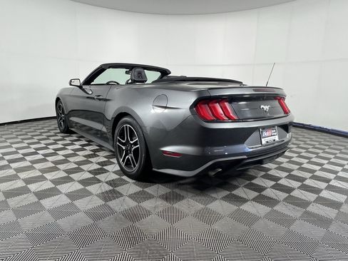 Used 2019 Ford Mustang Premium RWD image 3
