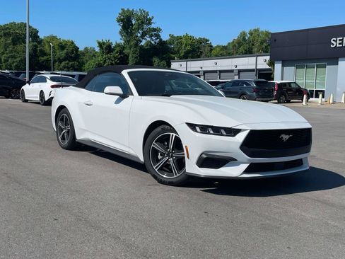 Used 2024 Ford Mustang Premium RWD image 1