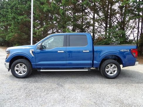 Used 2025 Ford F150 XLT w/ Equipment Group 301A Standard AWD/4WD image 2