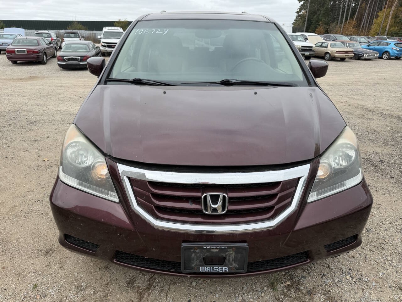 Used 2010 Honda Odyssey EX-L image 7