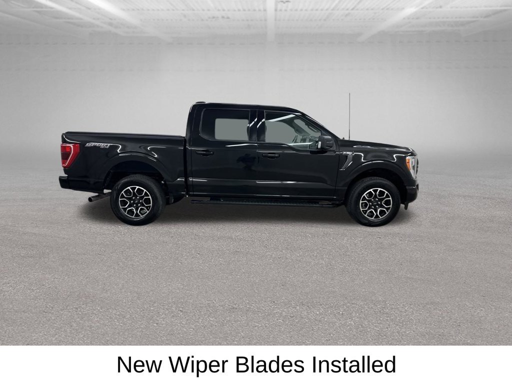 Used 2023 Ford F150 XLT w/ Equipment Group 302A High AWD/4WD image 16