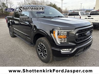 Used 2023 Ford F150 XLT w/ Equipment Group 302A High