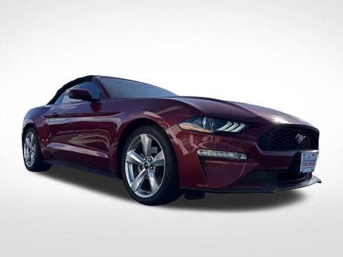 Used 2018 Ford Mustang Premium w/ Equipment Group 201A image 5