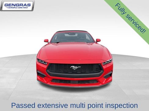 Used 2025 Ford Mustang Premium RWD image 3