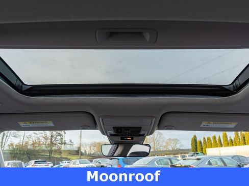 Used 2024 Honda Accord EX-L image 11