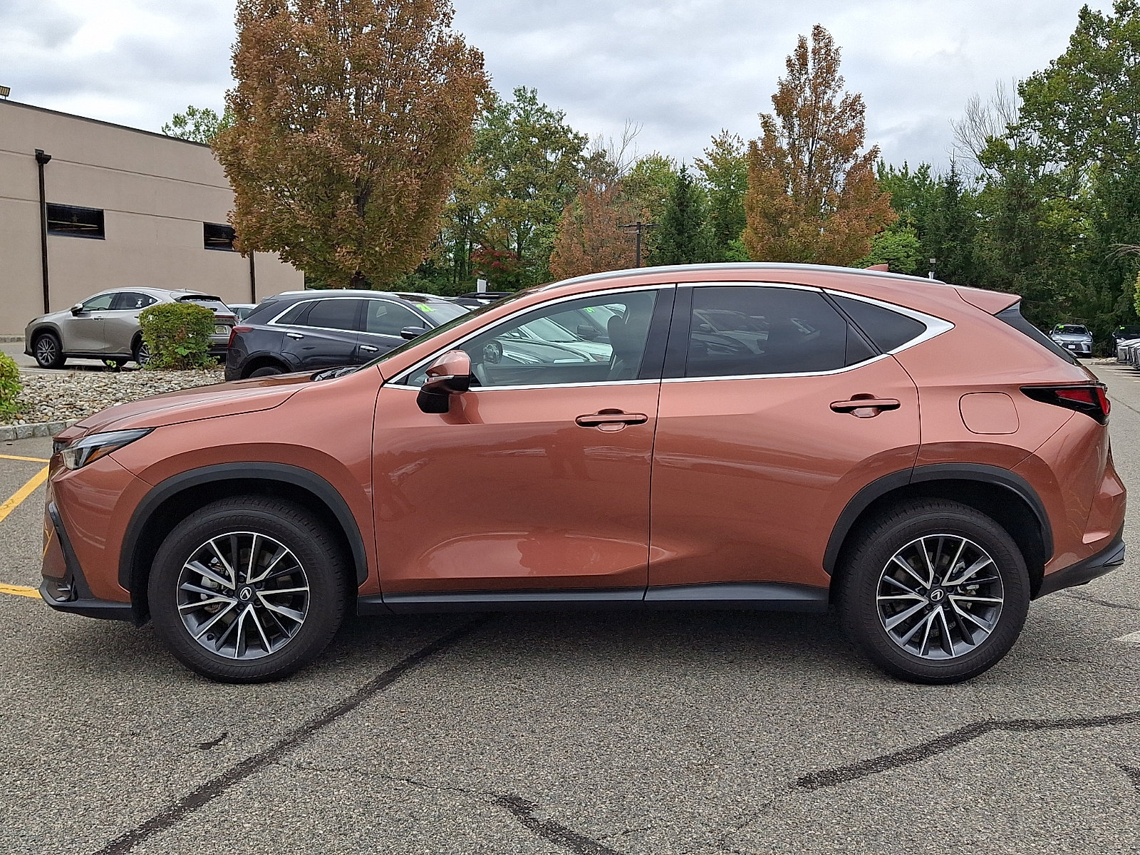 Certified 2026 Lexus NX 350 AWD w/ Accessory Package (Z1) image 5