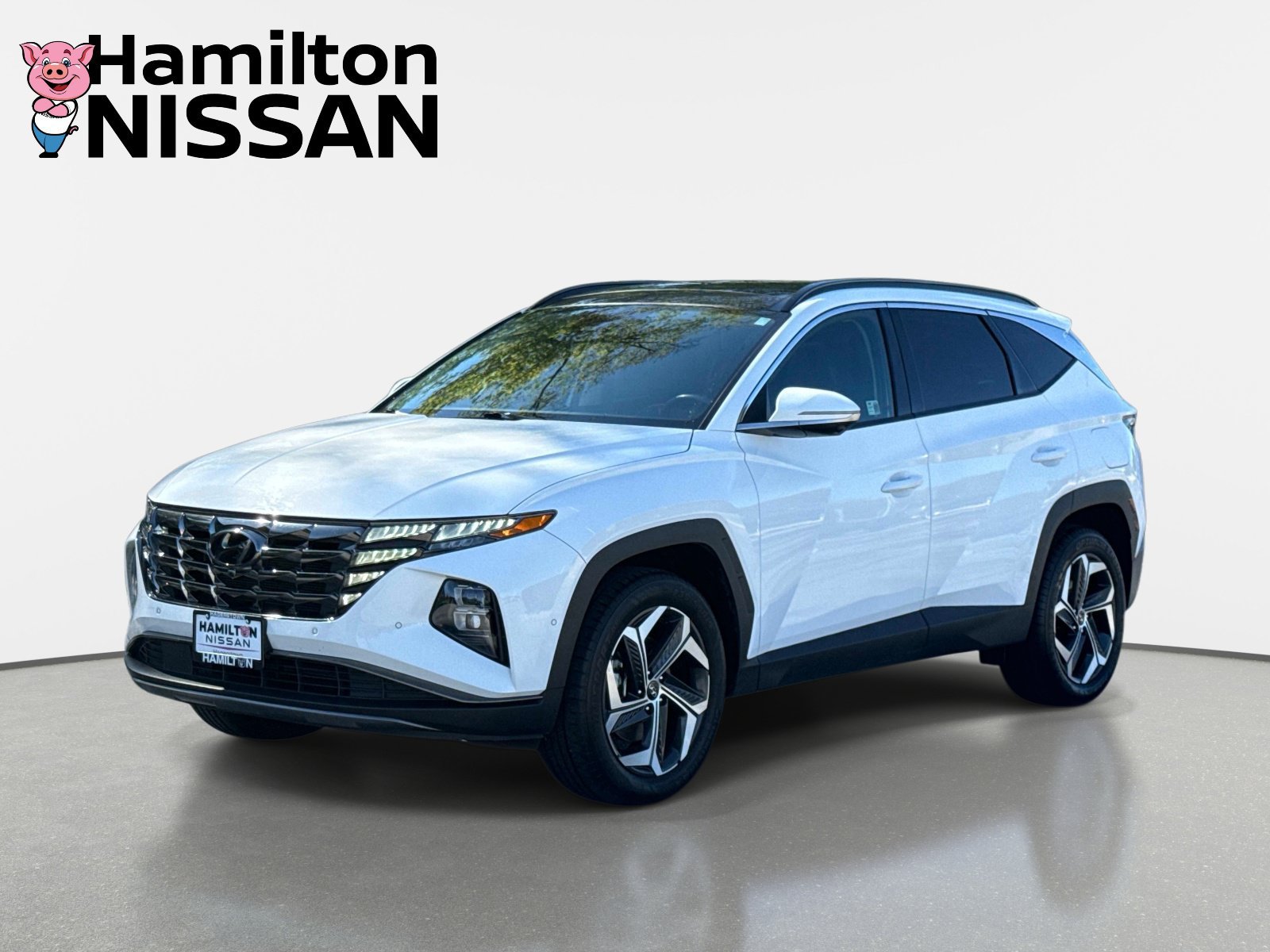 Used 2024 Hyundai Tucson Limited AWD/4WD image 5