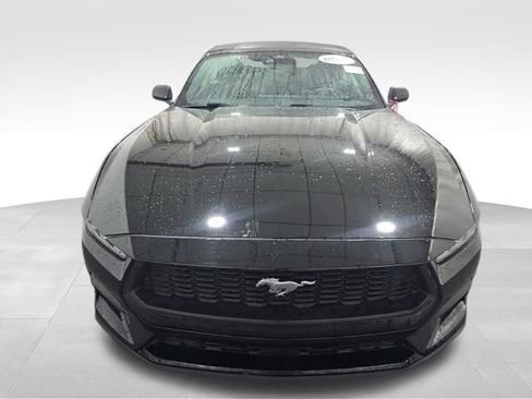 Used 2024 Ford Mustang Premium RWD image 5
