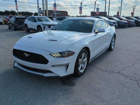 Used 2019 Ford Mustang Coupe RWD image 4
