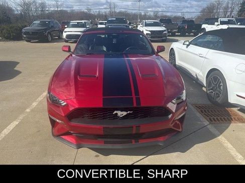 Used 2022 Ford Mustang Premium w/ Equipment Group 201A image 1