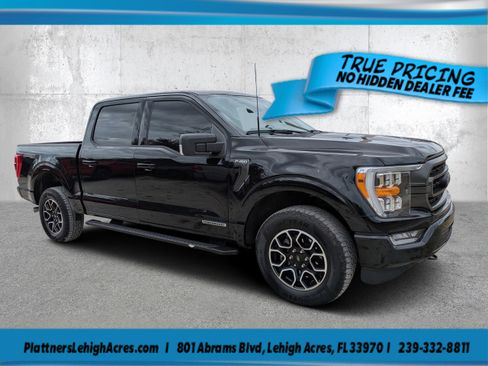 Used 2023 Ford F150 XLT w/ Equipment Group 302A High AWD/4WD image 1