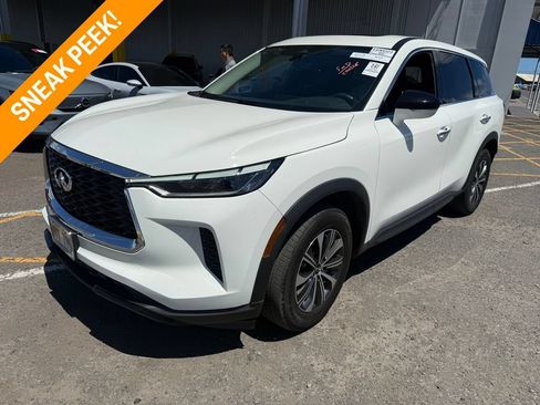 Used 2023 INFINITI QX60 Pure FWD image 1