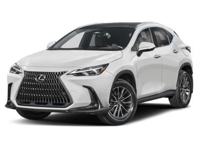 Used 2025 Lexus NX 350h AWD w/ Cold Area Package