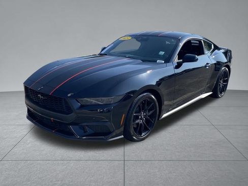Used 2025 Ford Mustang Coupe w/ Mustang Nite Pony Package RWD image 2