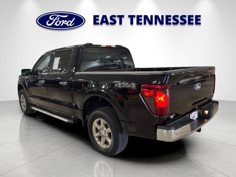 Used 2025 Ford F150 XLT w/ Equipment Group 301A Standard AWD/4WD image 5