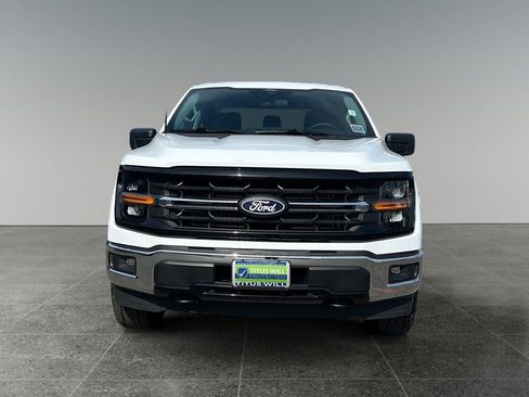 Used 2025 Ford F150 XLT w/ Equipment Group 301A Standard AWD/4WD image 2