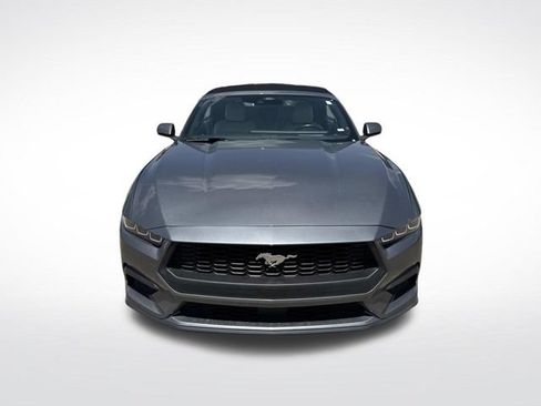 Used 2024 Ford Mustang Premium RWD image 3
