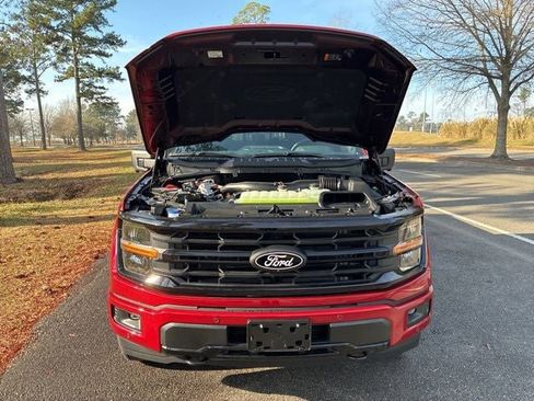 New 2025 Ford F150 XLT w/ Equipment Group 302A MID image 20