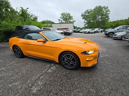 Used 2018 Ford Mustang Premium w/ Equipment Group 201A RWD image 10