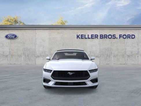 New 2025 Ford Mustang EcoBoost image 7