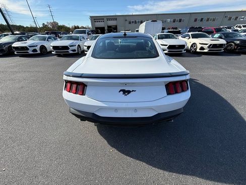 New 2026 Ford Mustang Coupe w/ Mustang Nite Pony Package image 6