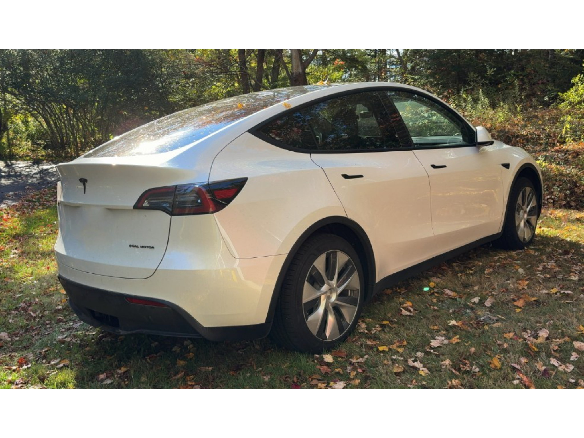 Used 2023 Tesla Model Y Long Range AWD/4WD image 3