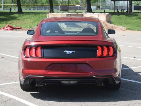 Used 2019 Ford Mustang Premium w/ Equipment Group 201A RWD image 22